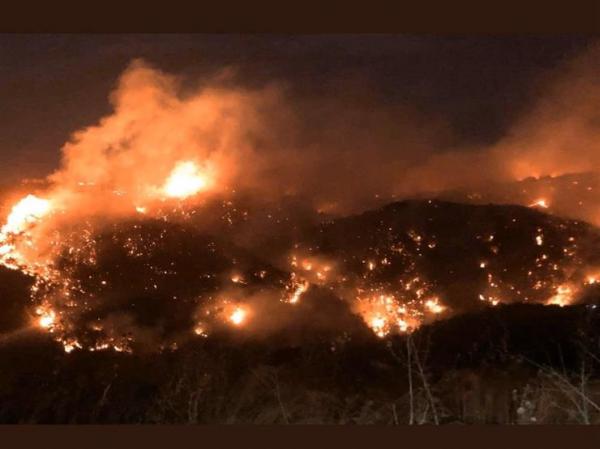 100 إصابة في حرائق لبنان
