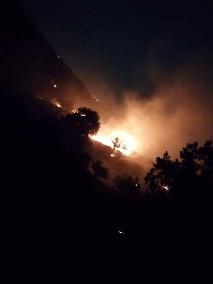 بالصور...الدفاع المدني يخمد حريق أعشاب جافة وأشجار مثمرة في محافظة اربد