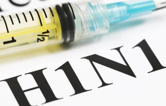 الاشتباه بـ 4 إصابات بإنفلونزا الخنازير بالشونة الجنوبية