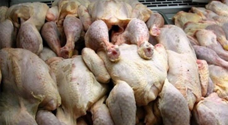 بالوثيقة .. اتحاد مزارعي الدواجن يكشف ادخال 568 طن دجاج من مصدر محظور